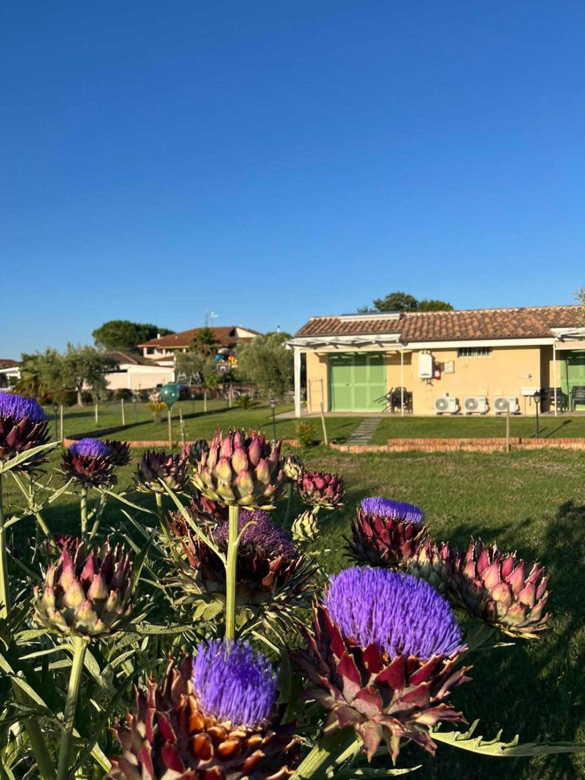 Вилла Il Giardino Di Nunzia Принчипина-Терра Экстерьер фото